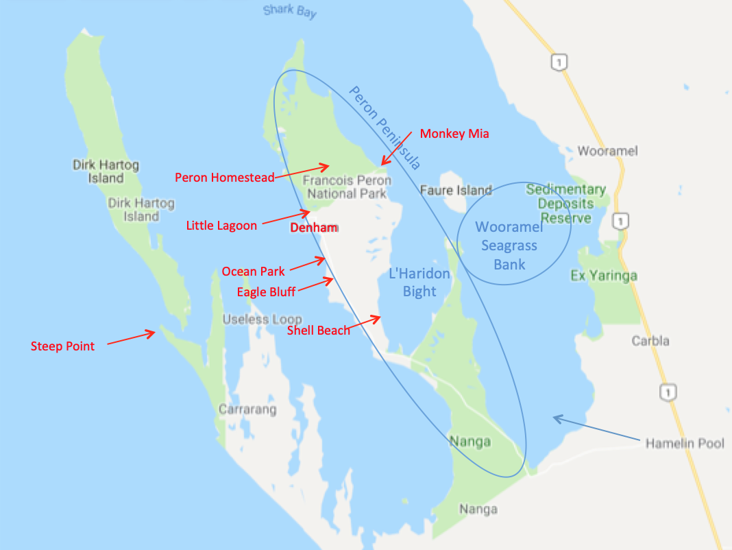 Shark bay Patrimonio Unesco Oeste Australia, West Australia - Costa Oeste de Australia (West Australia): rutas, qué ver - Foro Oceanía